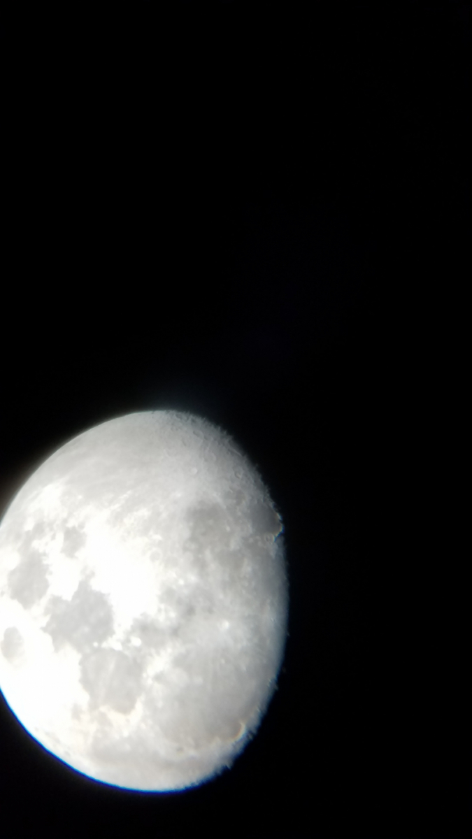 First Moon Shot